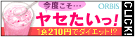プチシェイク