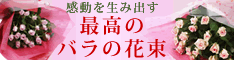 �o��