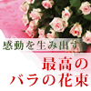 バラ