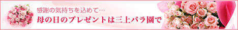 母の日