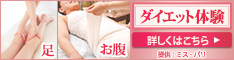 �֥饤�����