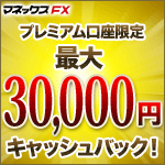マネックスFX
