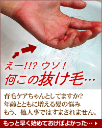 女性 育毛剤