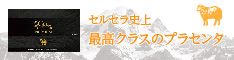 プラセンタ