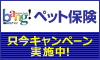 ペット保険