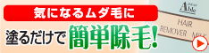 �G�C�u���W���p���@e-shop