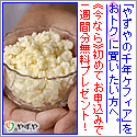 やずや,千年ケフィア,ヨーグルト