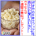 やずや,ケフィア,千年ケフィア
