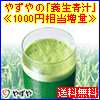 青汁