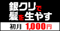 発毛