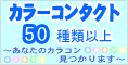 MSコンタクト