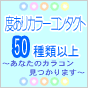 MSコンタクト