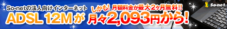 So-net法人向け接続サービス_468_60