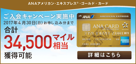 ANAアメリカン・エキスプレス・ゴールド・カード,旅行,クレジットカード,ETC車載器,アメックス,AMX,グリーン,プラチナ,ブラック,センチュリオン審査,取得