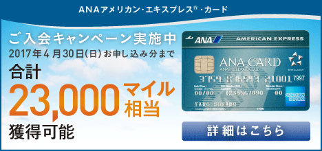 ANAアメリカン・エキスプレス・カード