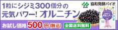 ルテイン
