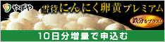 雪待美人