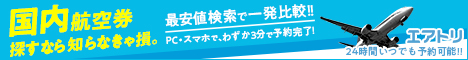 国内航空券エアーズゲート