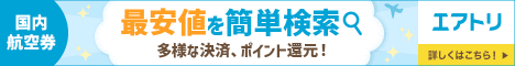 国内航空券エアーズゲート<br>