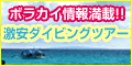 ボラカイパラダイス