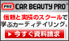 カービューティープロ