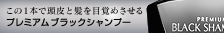 �v���~�A���u���b�N�V�����v�[