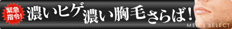 �v���~�A���A�t�^�[�V�F�C�u���[�V����