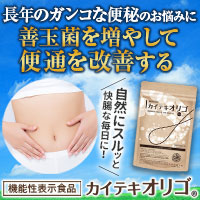 『カイテキオリゴ』