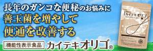 東尾理子バナー