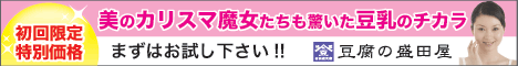 豆腐の盛田屋