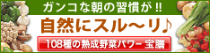 宝膳