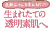 美容洗顔石鹸