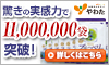 北の国から届いたブルーベリー