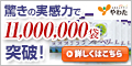 北の国から届いたブルーベリー