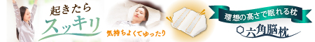 六角脳枕