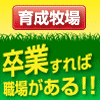 JRA厩務員になるには