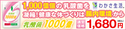 ���_��1000��