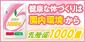 ���_��1000��