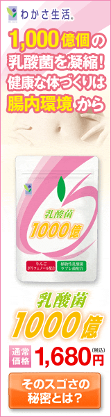 乳酸菌1000億