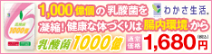 乳酸菌1000億