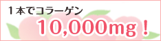 ¥Ï¥Ô¥³¥é10000