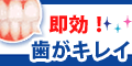 �p�[���z���C�g�v��2