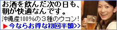 琉球ウコン