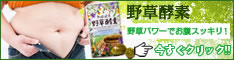 野草酵素