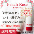 Peach Rose