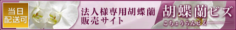 �ԁ@�Ӓ���
