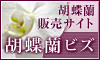 花 胡蝶蘭