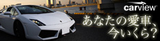 ���Îԍ���/carview