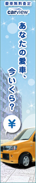 車査定/carview