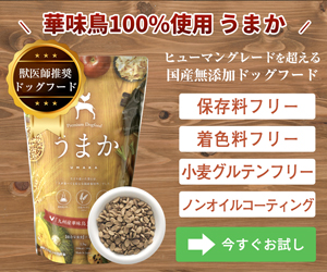 selfB経由でお申し込み